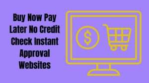 Buy Now Pay Later No Credit Check Instant Approval Websites