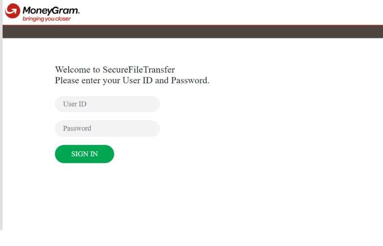 Moneygram Website