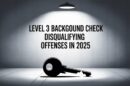 Level 3 Background Check Disqualifying Offenses